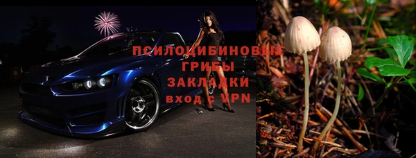ГАЛЛЮЦИНОГЕННЫЕ ГРИБЫ Алексин