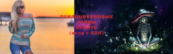 ГАЛЛЮЦИНОГЕННЫЕ ГРИБЫ Алексин