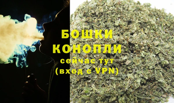 дурь Алзамай