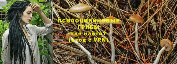 ГАЛЛЮЦИНОГЕННЫЕ ГРИБЫ Алексин