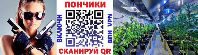 хочу   Урай  Конопля семена 